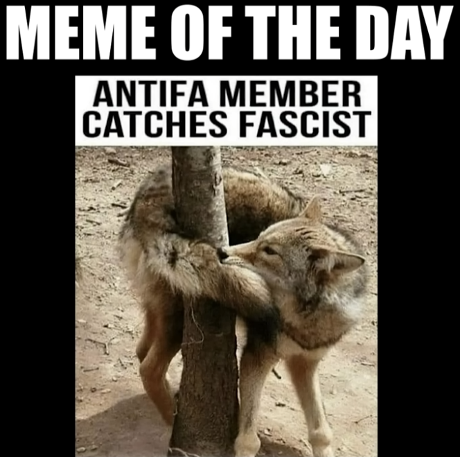 axlzero666's tweet image. 