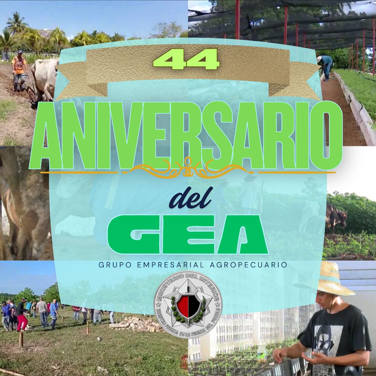 AlmasValientes_'s tweet photo. Felicitamos a todos los Jefes y trabajadores del Grupo Empresarial Agropecuario 🐓🐖🌾🌱🚜💦 del Minint 🛡️🇨🇺, en el marco del 4️⃣4️⃣ Aniversario de su conformación.

#Minint https://t.co/7wPwIl2m1i