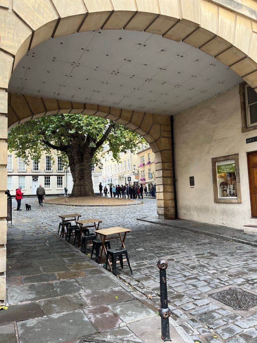 Sharon Lynn tweet media