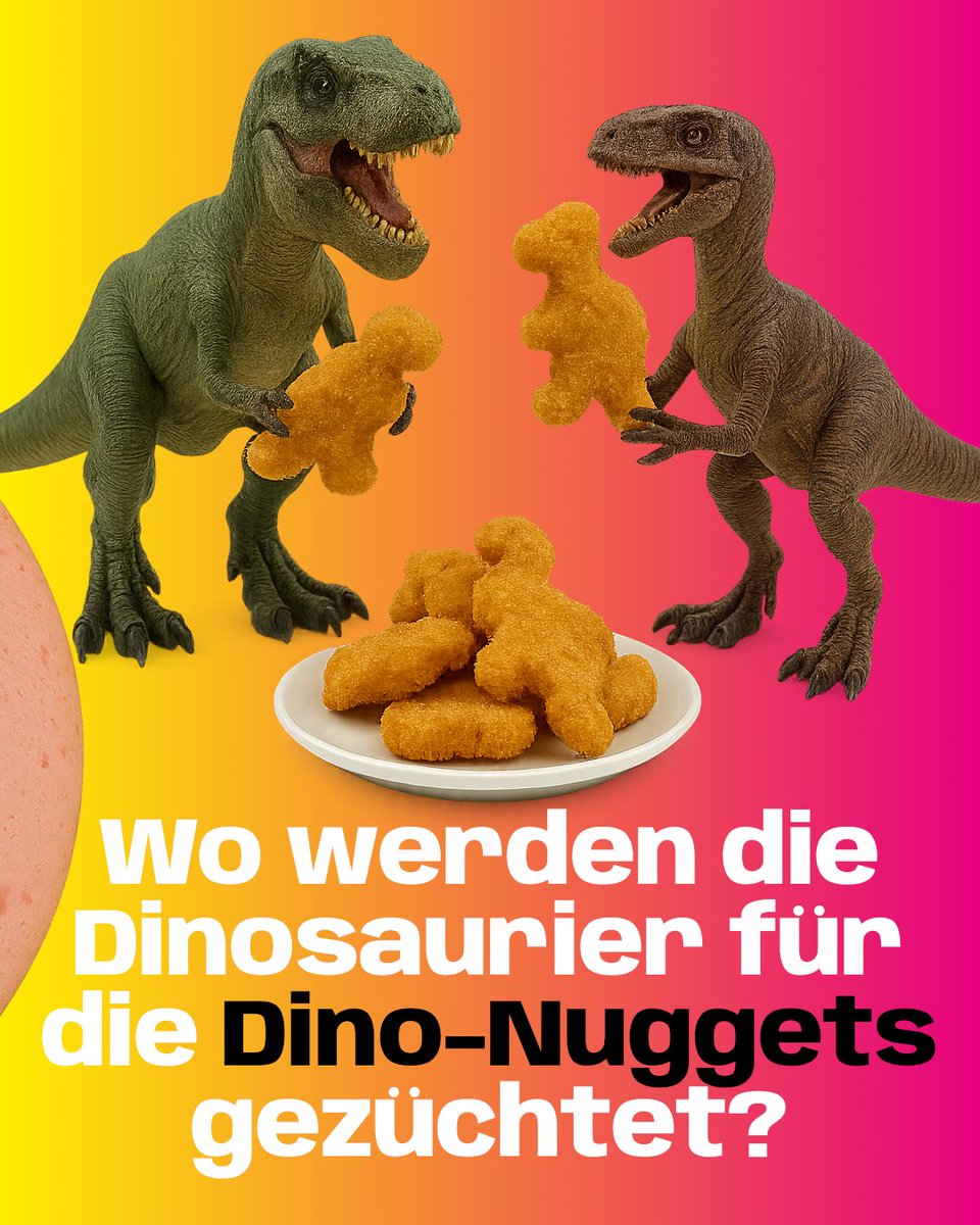 juliasachsen's tweet photo. Was fällt der EU ein, um Bürokratie und Überregulierung zu bekämpfen? Verbote!
Wurst darf nicht mehr Wurst heißen, weil man uns nicht zutraut das zu unterscheiden. Aber was ist mit anderen Produkten?
Diese Verbote sind reine Symbolpolitik und Populismus ohne wirkliche Wirkung. https://t.co/M2esnW2IpK