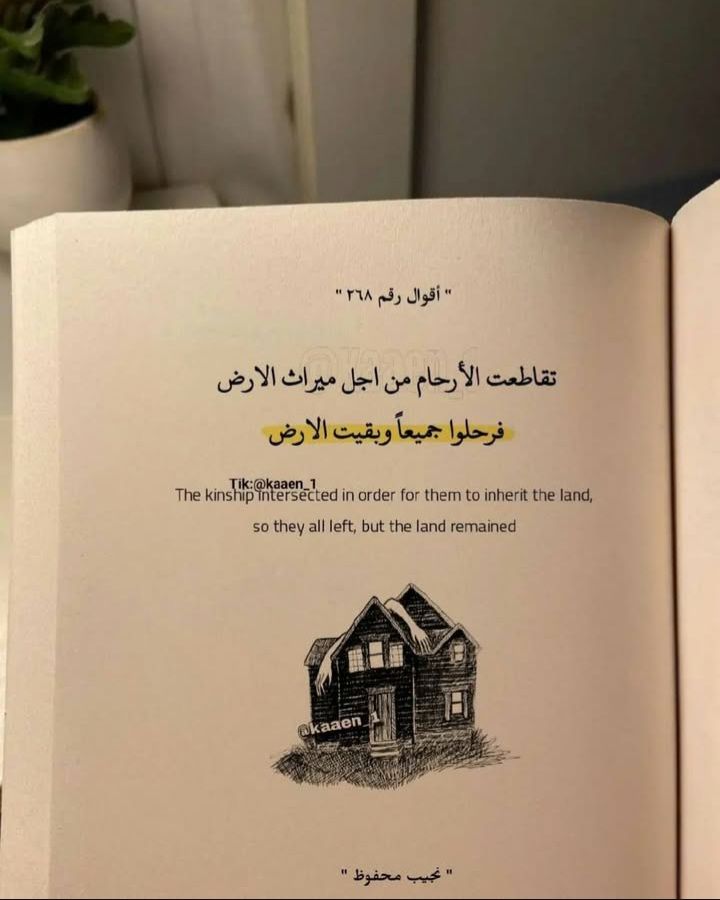 ✨ الأرض الشاهدة ✨

تقاطعت الأرحام، واشتعلت القلوب بحقدٍ على قطعة تراب 🌿
رحل الأحباب، وتاهت الضمائر، وغابت الضحكات، وبقيت الأرض صامتة، تحتفظ بكل الأسماء وكل الخيانات 🕊️
المال يرحل مع من يطلبه… لكن الأرض، وحدها، تعرف من يستحق أن يبقى.