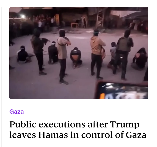 Ani O'Brien tweet media