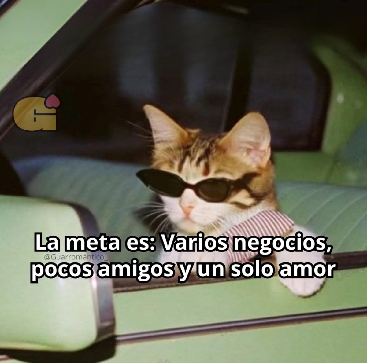 El Guarromántico tweet media