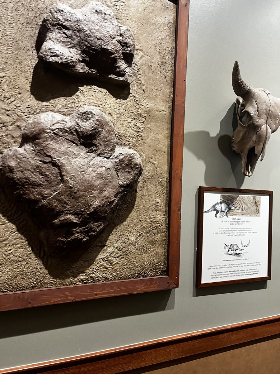 Got to play the legendary fossil trace finally. What a round