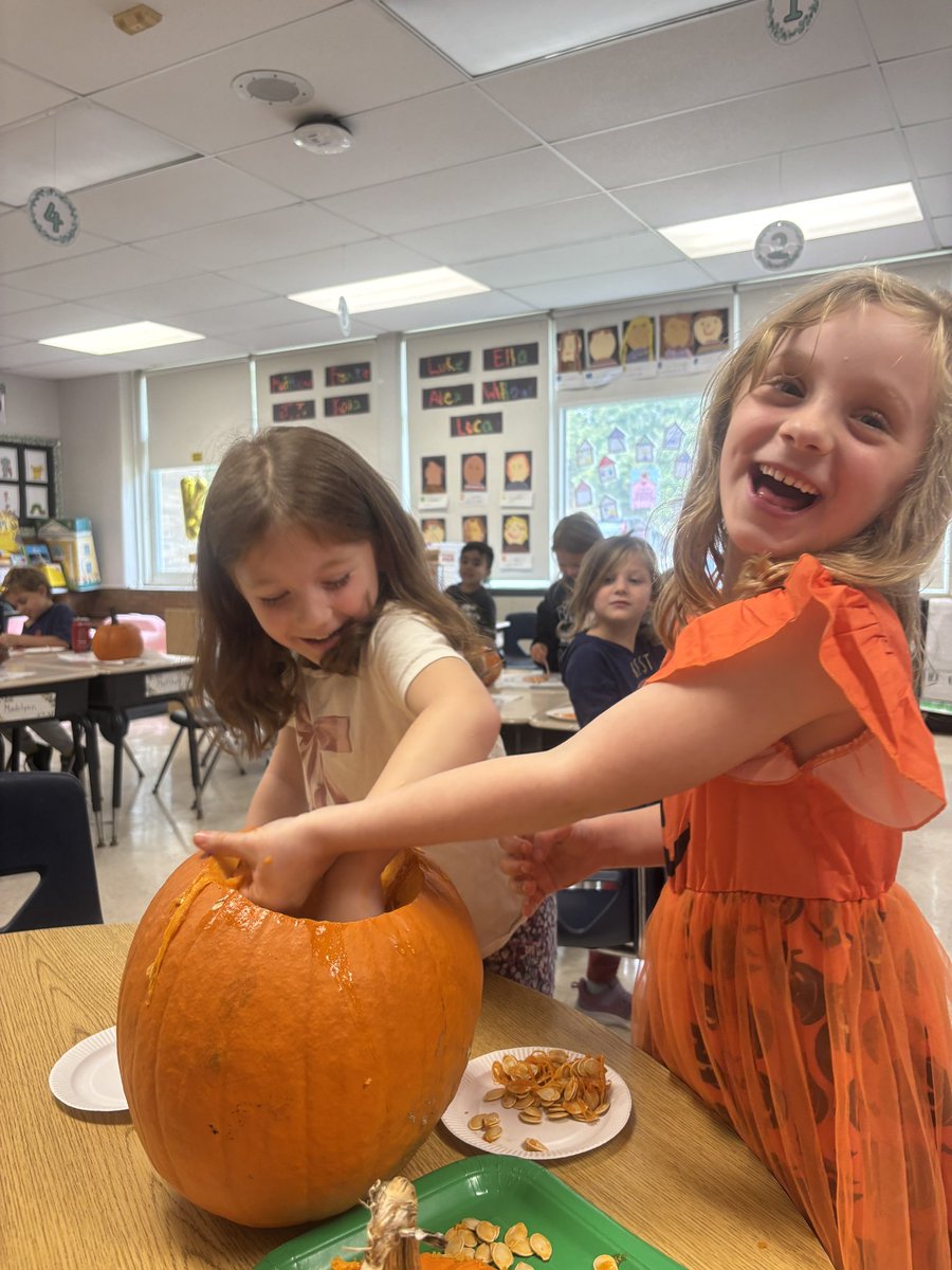 Shannon O'Shea tweet media