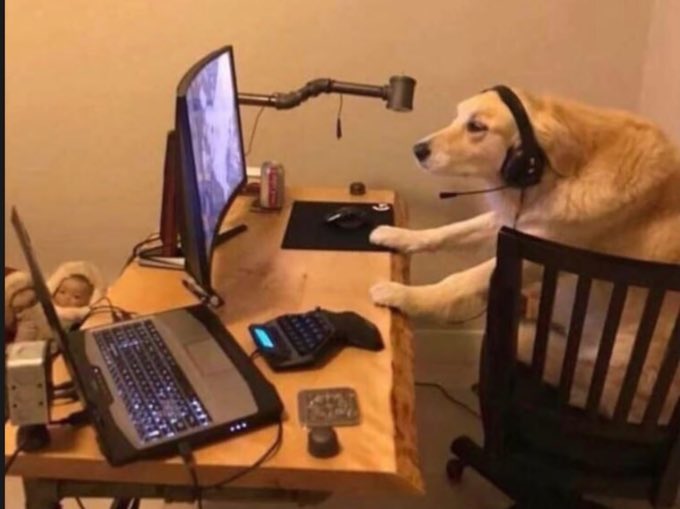 SleeperPackers tweet media