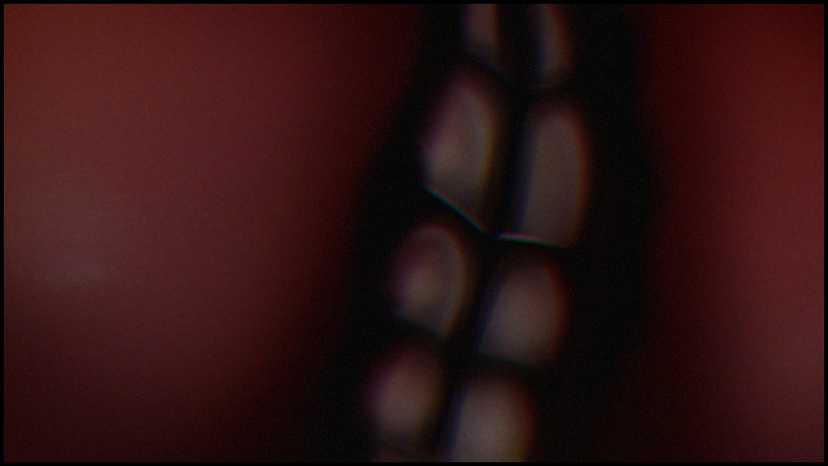 POV: you're about to die happy 

#Razcore