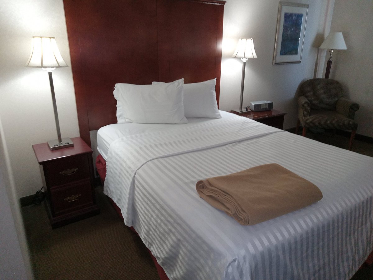 October 14 2025 Tuesday Richmond BC my Hotel room today. A&amp;W for breakfast. Dinner Pop snacks for LA Dodgers at Milwaukee Brewers NLCS 2025 . 🙂🍔🧁🧃🥗🥤🍫⚾🥅🏒🏀