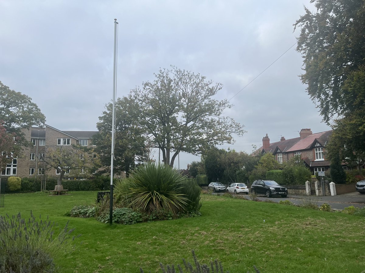 Conrad D. Conelrad tweet media