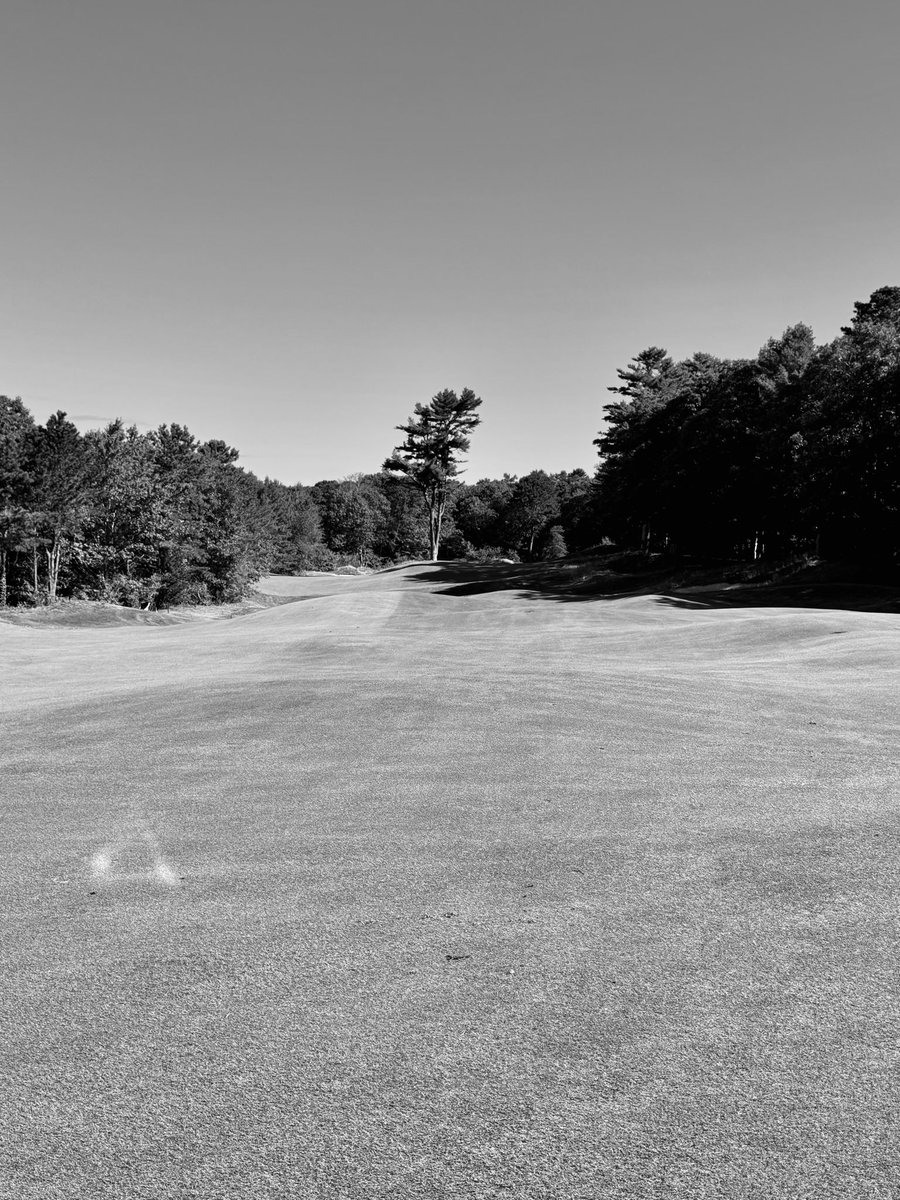 TheBackTee_'s tweet photo. Bentgrass and the quiet hum of tradition.
Club: The Ridge Club (Sandwich, MA) https://t.co/y6fUxcZKol