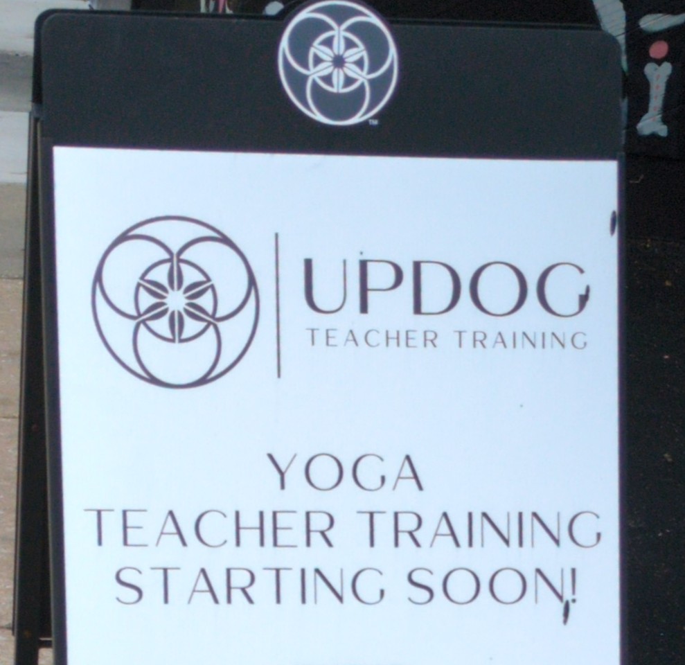 matwil102's tweet photo. Anybody want to go to updog? https://t.co/eTgYvKYP3g