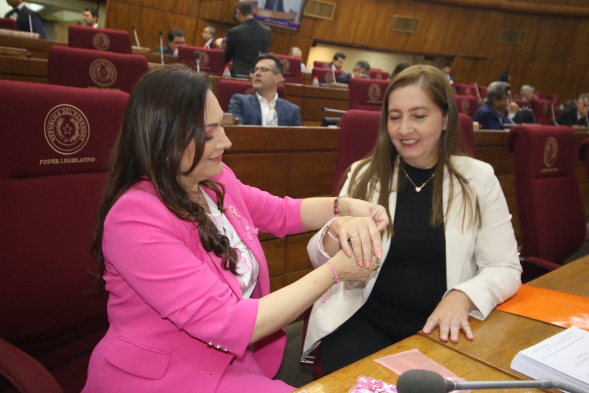 Comisión de Equidad Social e Igualdad HCD tweet media