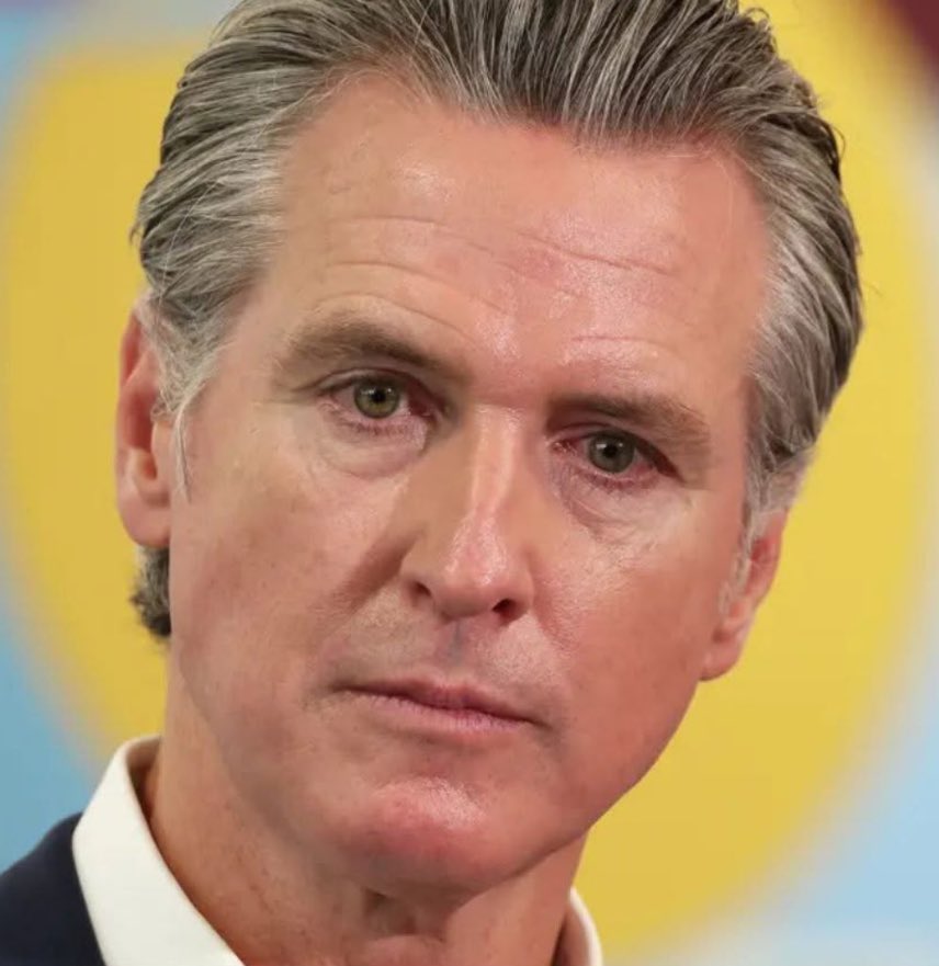 Gavin Newsom is an ambitious Democrat. After having destroyed California, he now wants to destroy the rest of America.