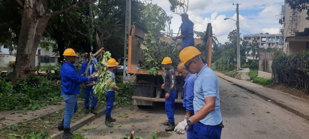 Realizan trabajos de poda🪓 en Consejo Popular Pueblo Griffo nuestras brigadas de trabajadores de la planta exterior👷‍♂️ de <a href="/ETECSA_Cuba/">ETECSA</a> en #Cienfuegos. Continuaremos trabajando 👍👍
<a href="/MiguelASurezSa2/">Miguel A. Suárez Sabina</a>
