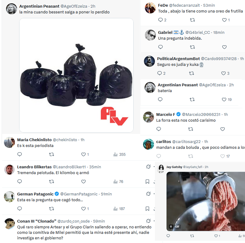 PonzistaAnti's tweet photo. Esta es la reacción libertarta a la periodista mujer que pregunto que pasaba si Milei perdía las elecciones y Trump respondio "le soltamos la mano"

Bolsas de consorcio, picadora de carne, amenazas de muerte, tratarla de estupida y mil improperios mas

Esto tambien esta en juego https://t.co/qPCgDIoYXE