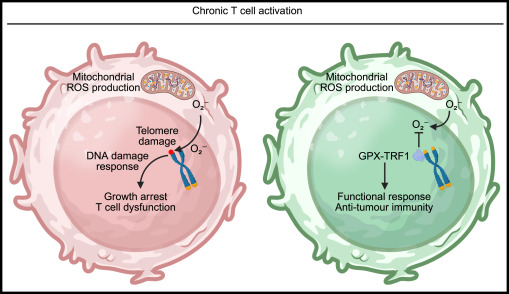Waggoner Lab tweet media