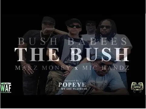 Chris Green tweet media