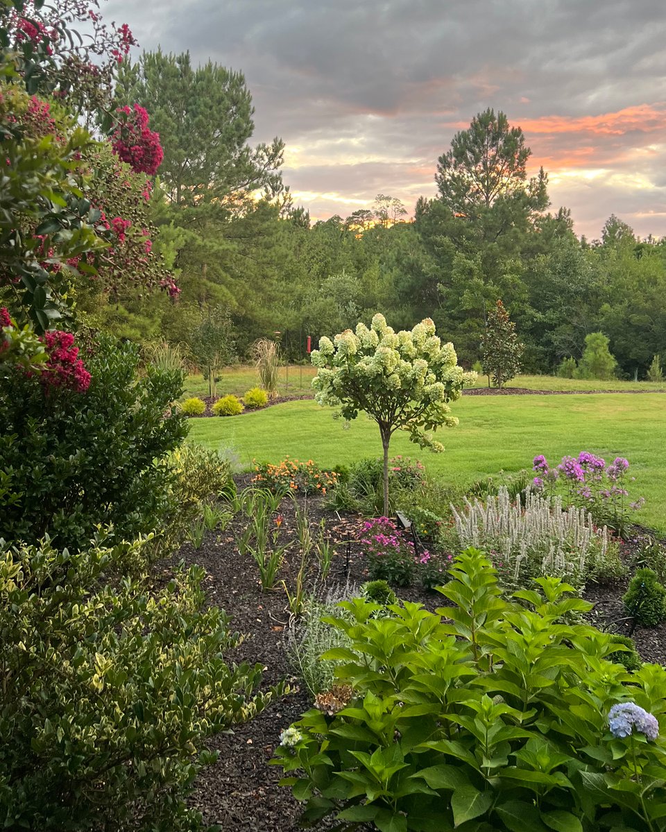 A huge thank you to everyone who shared their gorgeous gardens with us for the Show Us Your Yard Photo Contest — we loved seeing how you grow! 📸🌳

5 winners were chosen at random and notified through email. Stay tuned for more contests and chances to show off your green thumb!