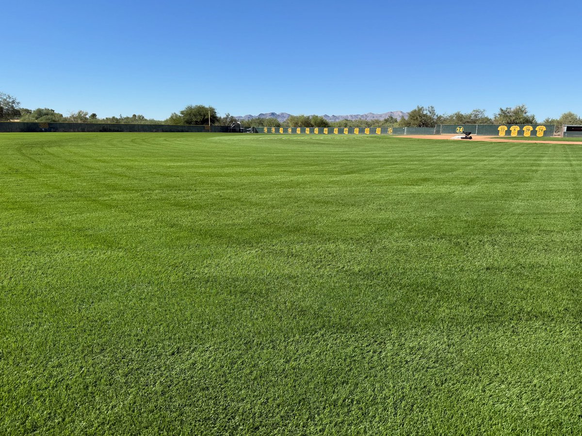 BaseballCDO's tweet image. First mow ✅