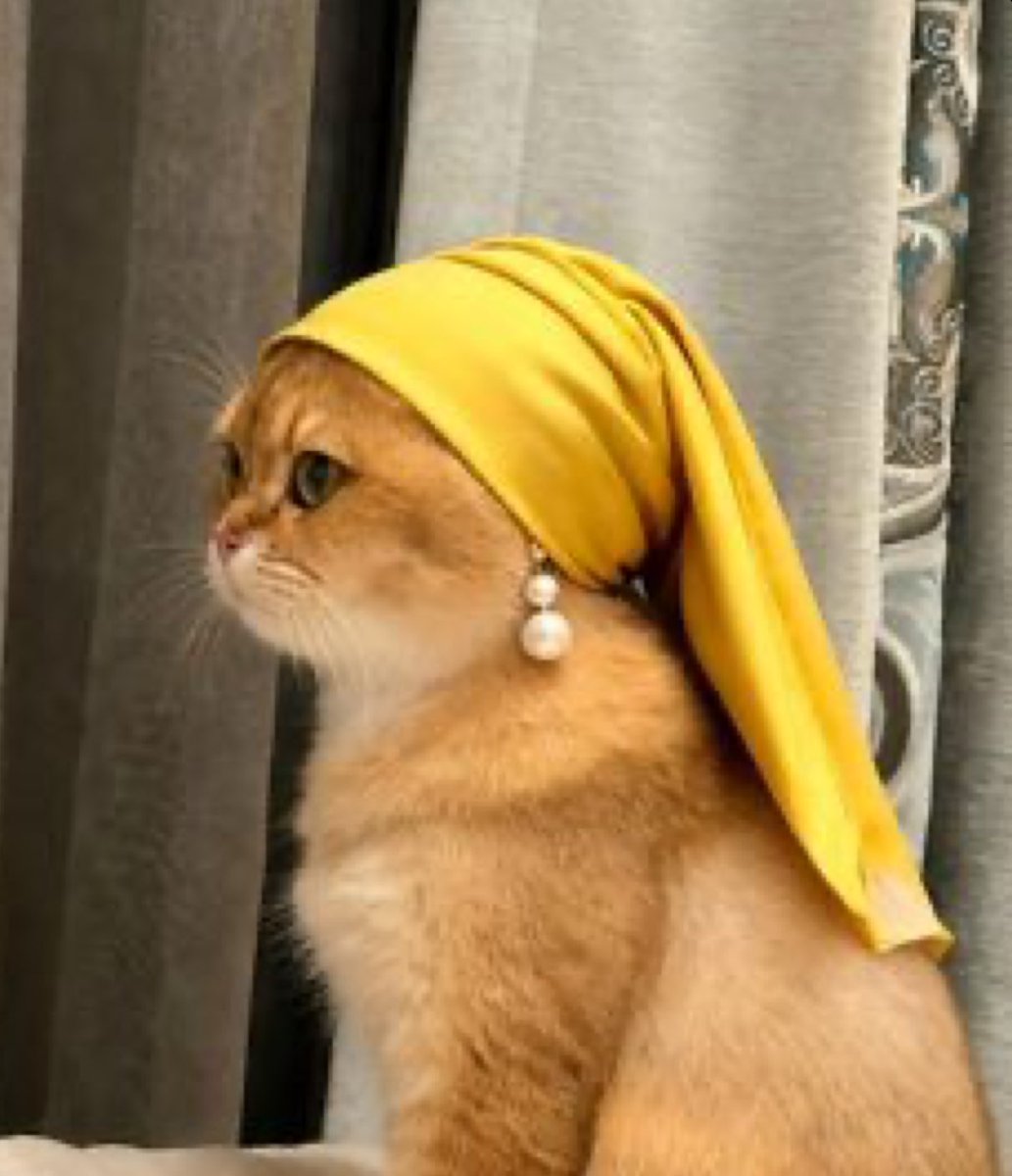 The girl with the pearl earring