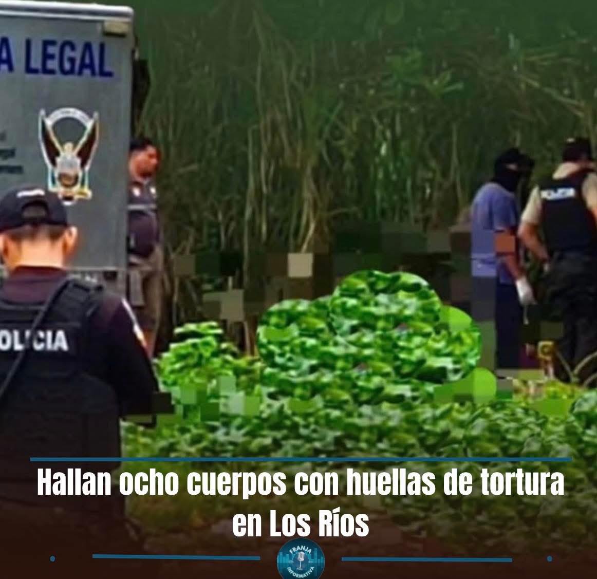 8 personas fueron halladas mu3rtas y con señales de tortura en la comuna Buena Fe, provincia de #LosRíos. Las víctimas tenían las manos atadas y las cabezas cubiertas con fundas negras. Tres de los fallecidos registraban antecedentes por tráfico de drogas
#FranjaInformativa