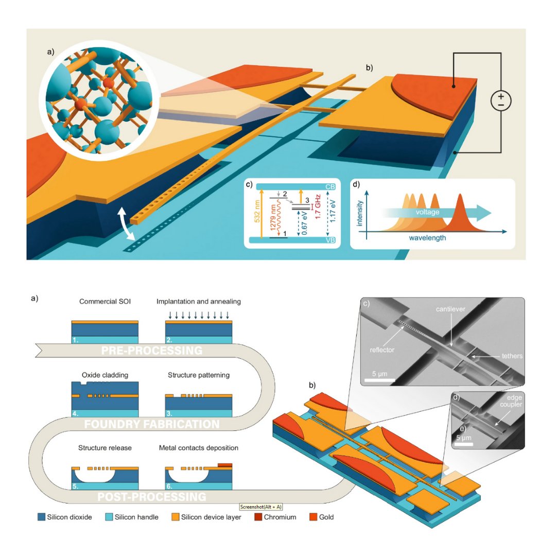 soiconsortium's tweet photo. A foundry-made silicon photonics chip uses a #MEMS cantilever to apply strain, precisely tuning the light emission of individual G-center defects for scalable quantum networks.

Read: https://t.co/nL6gL5gthu

#quantum #photonics #SOI https://t.co/AFjdHye7VG