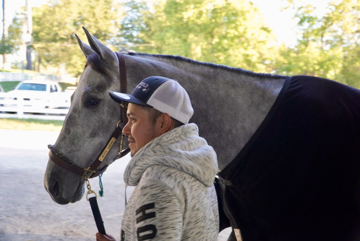 BelladonnaRaci1's tweet photo. Let’s check in with WHITE SMOKE (Essential Quality-Mira Alta) for #2YOTuesday. This pretty gray has been steady on the worktab at Ellis and Kee with 3 consecutive 4F drills. Of note, her yrlg 3/4-brother by Flightline sold for $1.7M in Sept. and she already has 3 graded sibs. https://t.co/peVToqCO69