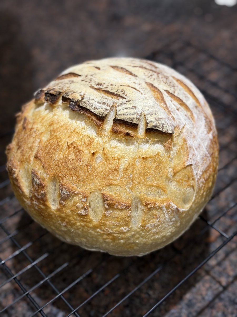 scrapperof5's tweet photo. @TrumpsHurricane It isn’t complete without my sourdough toast! https://t.co/ELI1ExEJYD