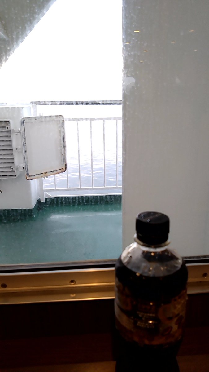 今日は久しぶりの島流し🐼🪸🌊𓈒𓂂𓏸
