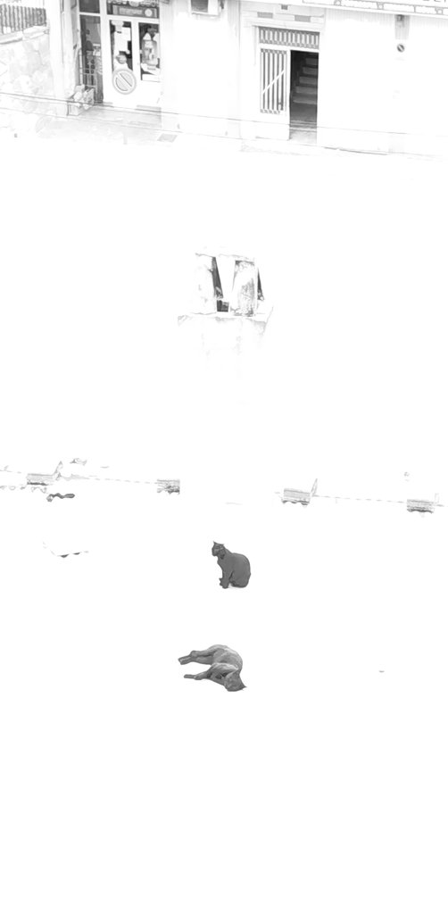 😶🌫️ tweet media