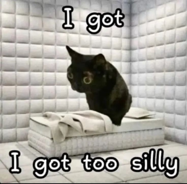 JmTaasanTaasan's tweet image. Johnn on a average Wednesday.
.
.
.
@CM320Class
#incharacter #campuschronicles #skits #college