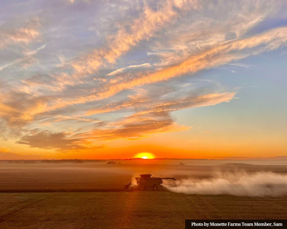 The sun is going down on another incredible harvest! 🌅 Thanks to our hard-working team for making it happen.  

If you’re interested in joining us next season, we always welcome local and international applications. Please email your resume to us at hr@monettefarms.ca to apply.