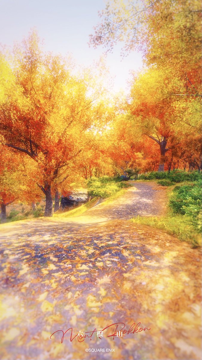 少しだけ早起きして
少しだけお洒落して
時間を忘れてお散歩したい
そんな朝に
憧れてばかりの毎日です( ˘ᵕ˘ )zz

#FF14 #FF14風景