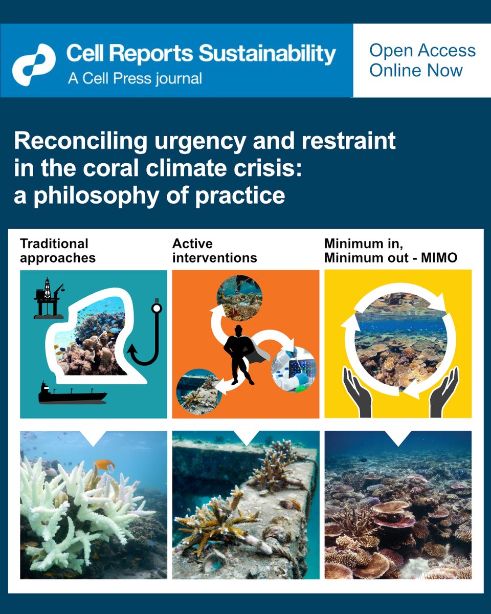 Coral reef conservation is under pressure to act boldly in the face of climate-altered futures. 
But how do we choose sustainable, responsible options?

Here, myself, <a href="/TH_Morrison/">Prof Tiffany Morrison</a>  &amp; <a href="/bellwoodlab/">The Bellwood Lab</a>  introduce "MIMO". 👇

<a href="/CellRepSustain/">Cell Reports Sustainability</a> 
cell.com/cell-reports-s…