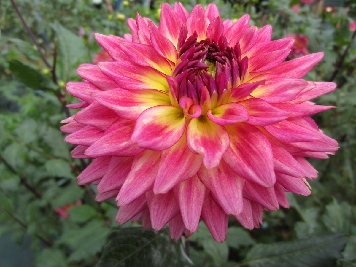 メリー花子 ゆぅー (@yumiko0330) / Posts / X