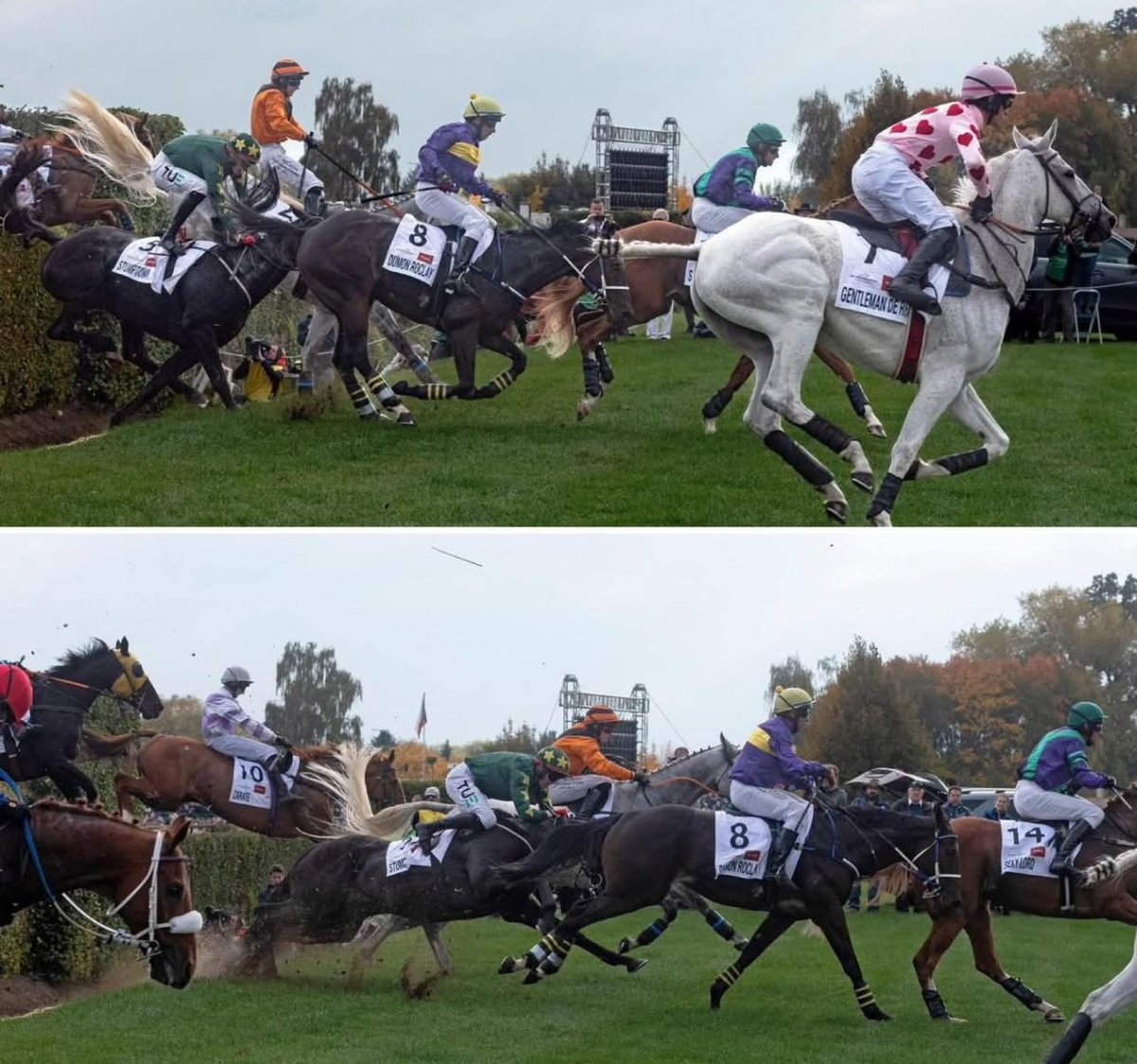 ๐๐๐๐๐๐๐๐ข๐ (@stableeye) on Twitter photo ๐ธ Gabriella Vonczem Photography
AI is ruining horse racing, it's not possible to seat on this horse after. Also, how the hell did he manage to regroup and win.
๐ฅEffort
๐ฅStumptown
๐ฅCromwell/Donohue Partnership
<a href="/GavinCromwell/">Gavin Cromwell</a> <a href="/donoghue_keith/">Keith Donoghue</a> ๐ธ Gabriella Vonczem Photography
AI is ruining horse racing, it's not possible to seat on this horse after. Also, how the hell did he manage to regroup and win.
๐ฅEffort
๐ฅStumptown
๐ฅCromwell/Donohue Partnership
<a href="/GavinCromwell/">Gavin Cromwell</a> <a href="/donoghue_keith/">Keith Donoghue</a>