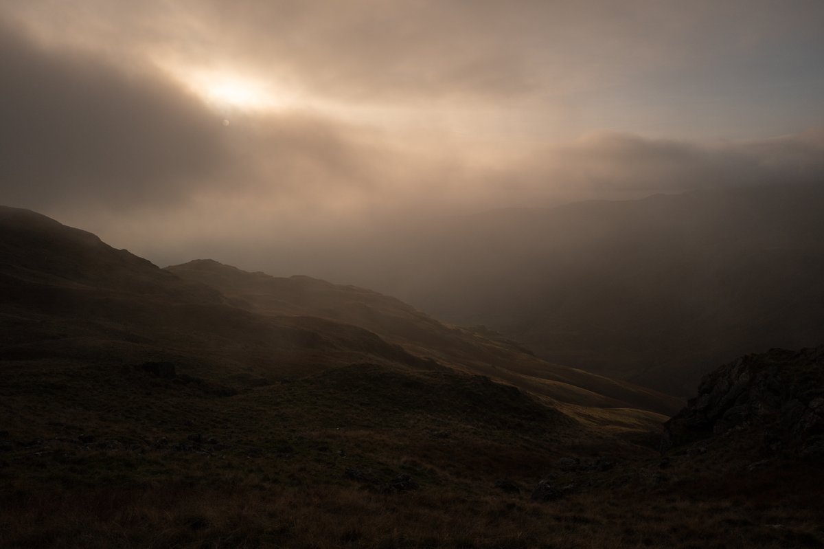 mark littlejohn tweet media