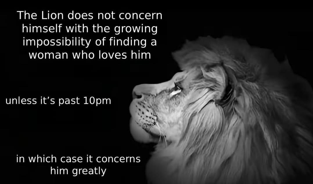 <a href="/kedinvarmi/">dayıı</a>