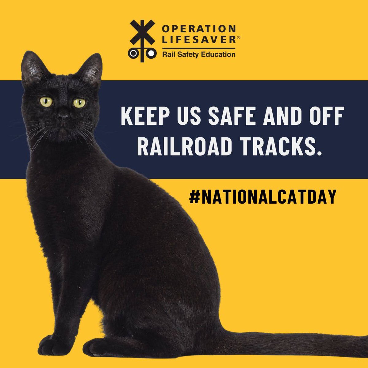 Today and every day, keep your furry friends away from railroad tracks and trains.

#NationalCatDay #RailSafetyEducation #STOPTrackTragedies