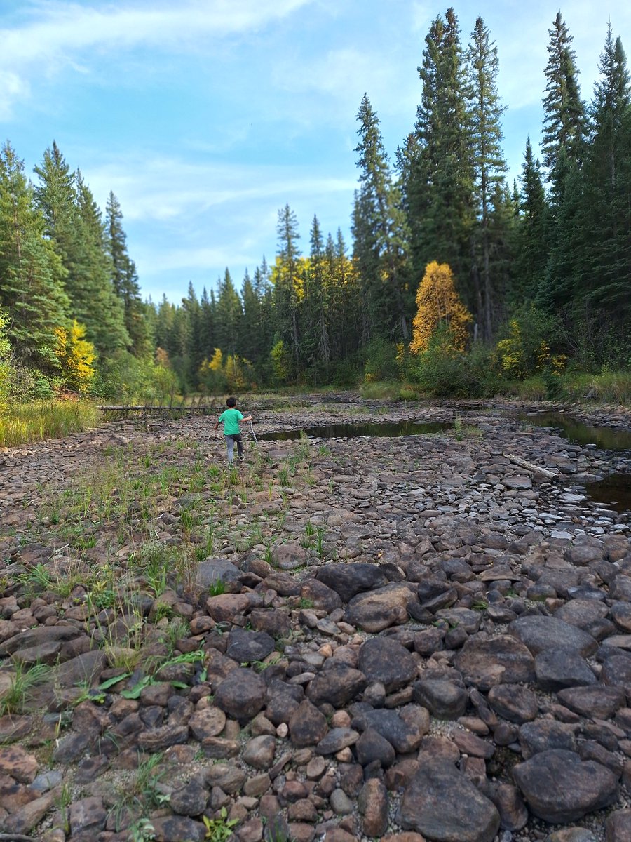 mariuspaul10's tweet image. Never has the water so low as it now is. The water level would have been up to his mid drift, and running wild, fast, foamy rush.