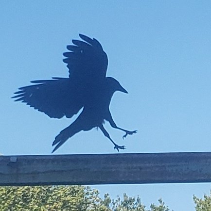 Get a grip...
Plenty of days left this week.

#BelieveInYourself #photography