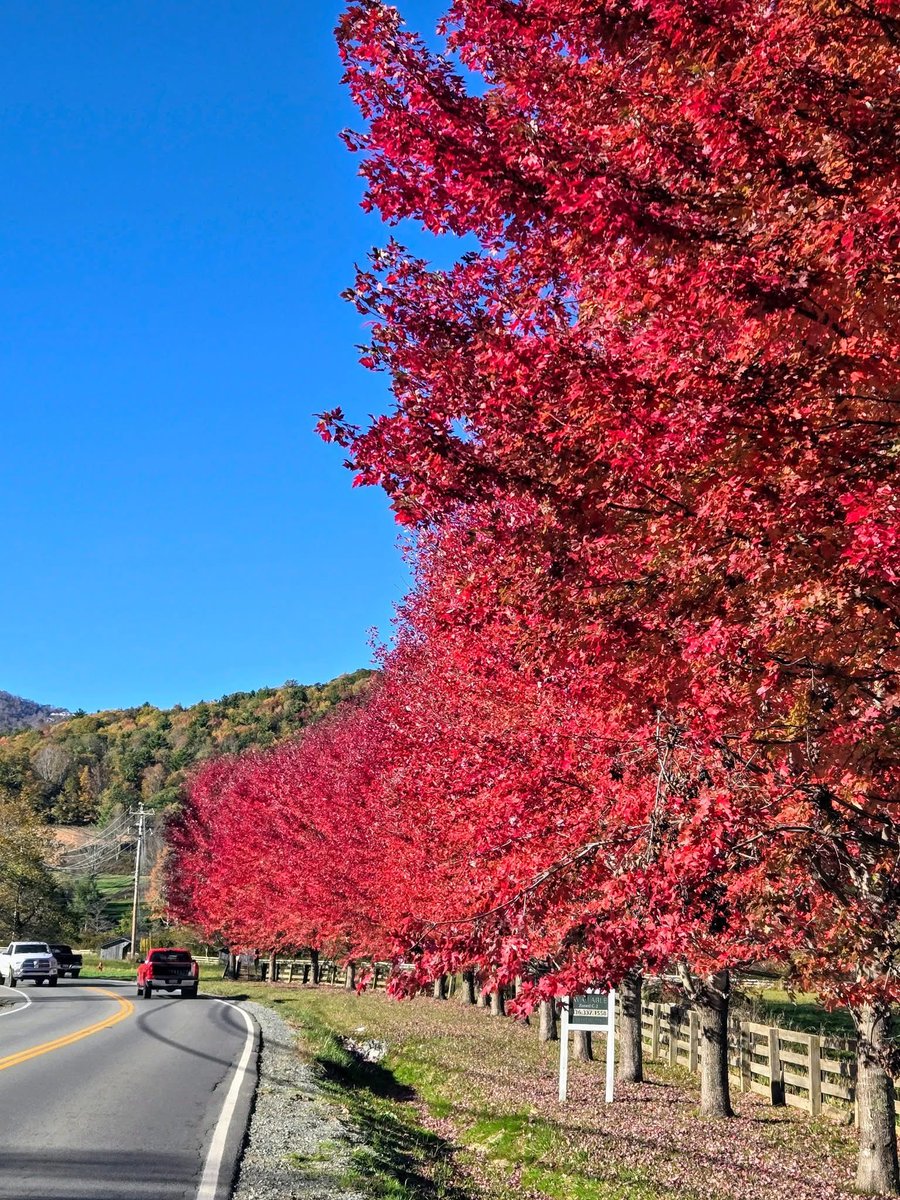 Welcome to Banner Elk! Today's colorful entrance to town on NC 184 / Tynecastle Hwy.