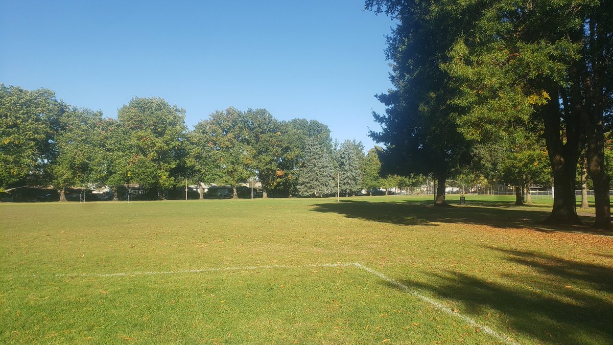 Today.
Here's another Portland riot...
Wait a while and some squirrels
will show up. Them and crows.
Expect all out fisticuffs.
😆 🤣 😂 

#TrumpIsAGlobalLaughingStock