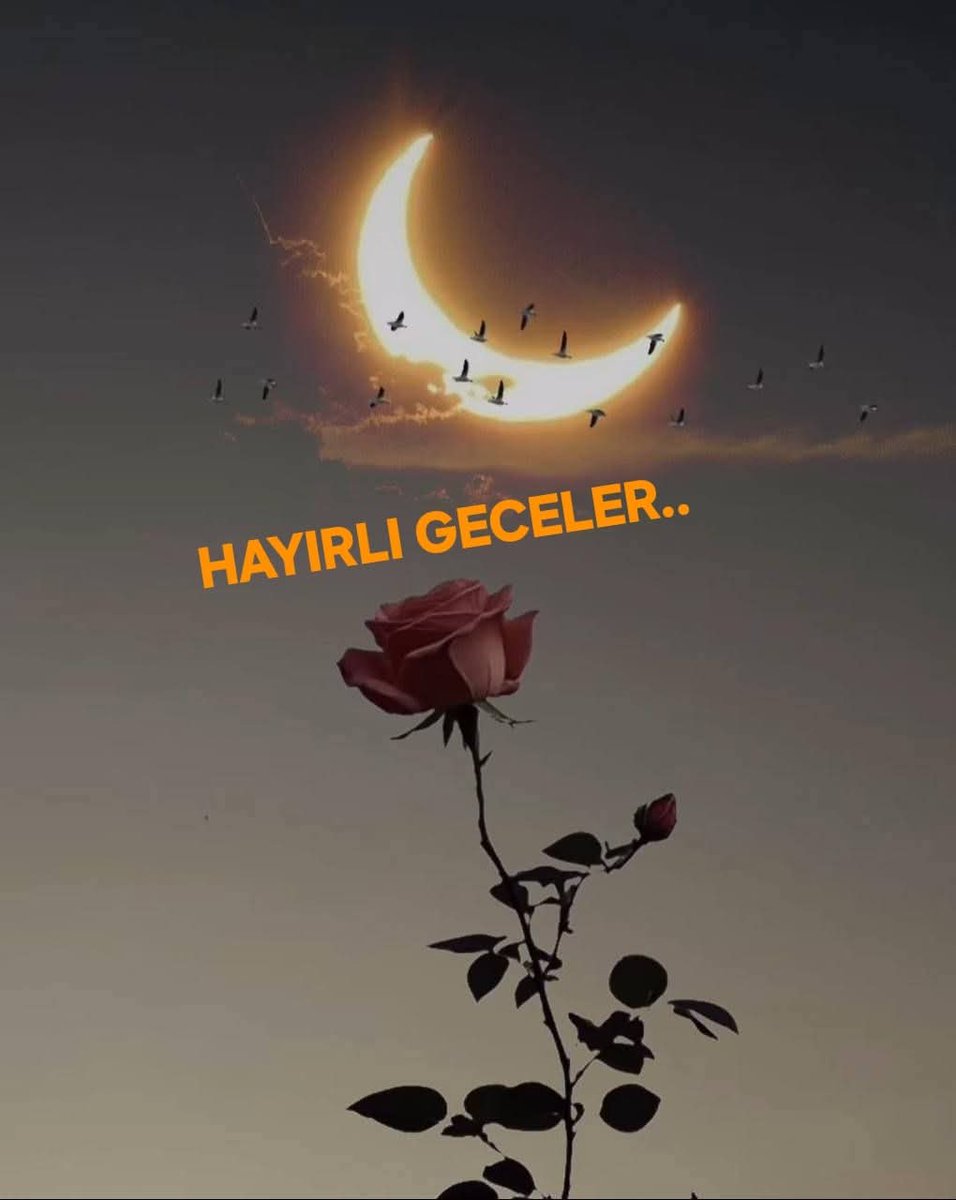 hakan_4387's tweet image. Dağıtmıyor Hiç Bir #Güneş
Ruhumdaki #Sis&quot;i
Ve Ben Hâlâ
#Yarın_Güzeldir Diyorum.
Kalmasada #Albenisi.. 

İYİ #GECELER 🌜🌠