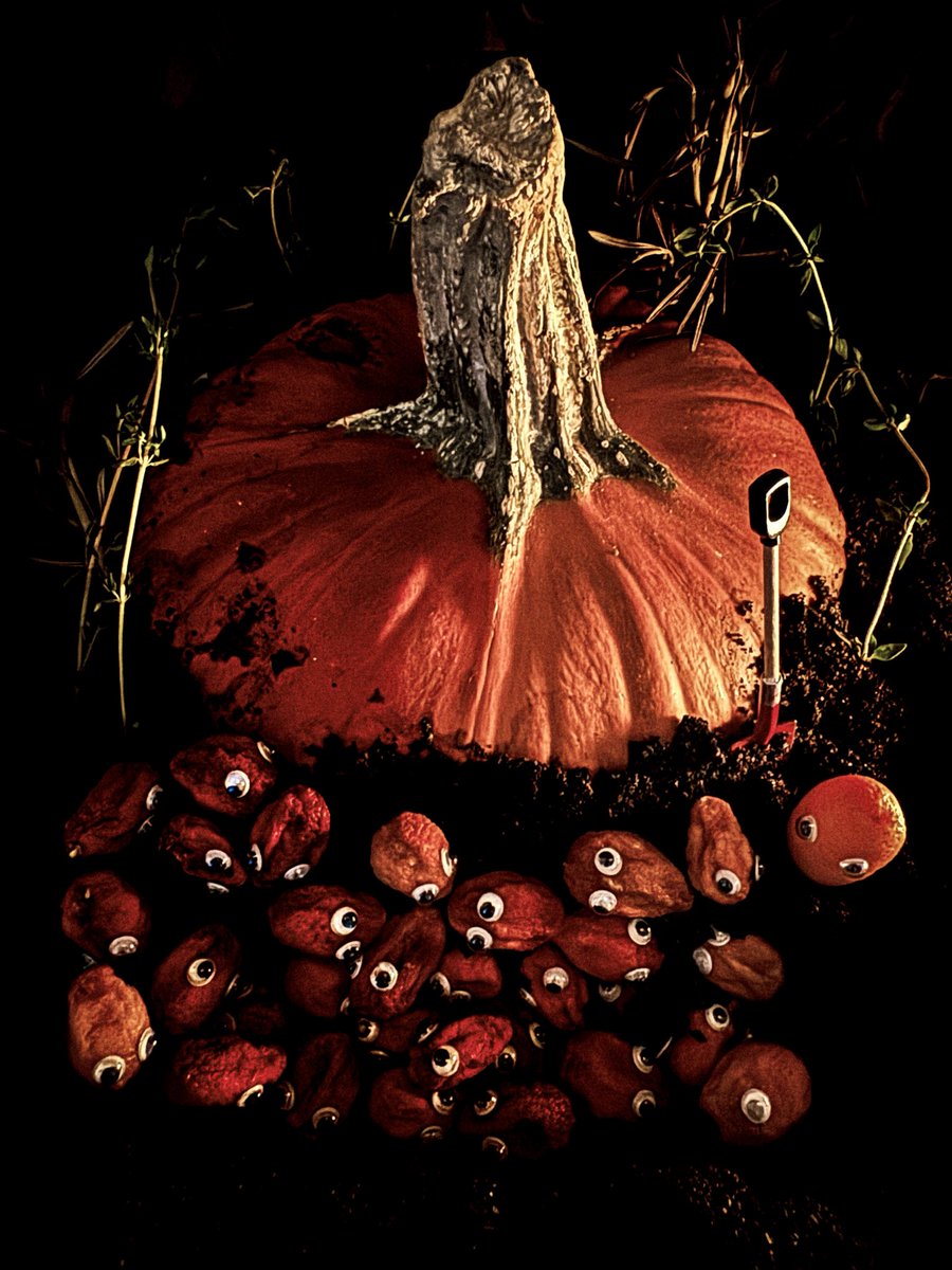 📸 Grave Kumquattery 🎃