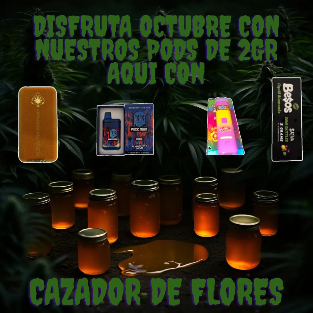 Cazador de Flores tweet media