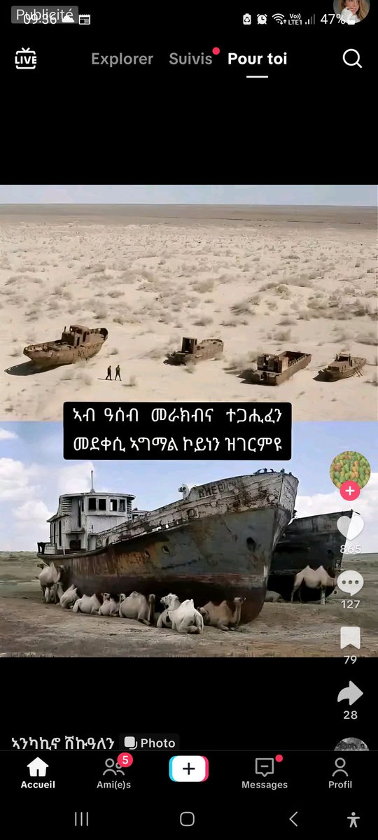 Justice4Tigre's tweet photo. @john19454660 @Jawar_Mohammed The so called awraja eritrea dealing poverty in ethiopia 
🤓😆🤪😂🤣 https://t.co/p2TEOyCuG8