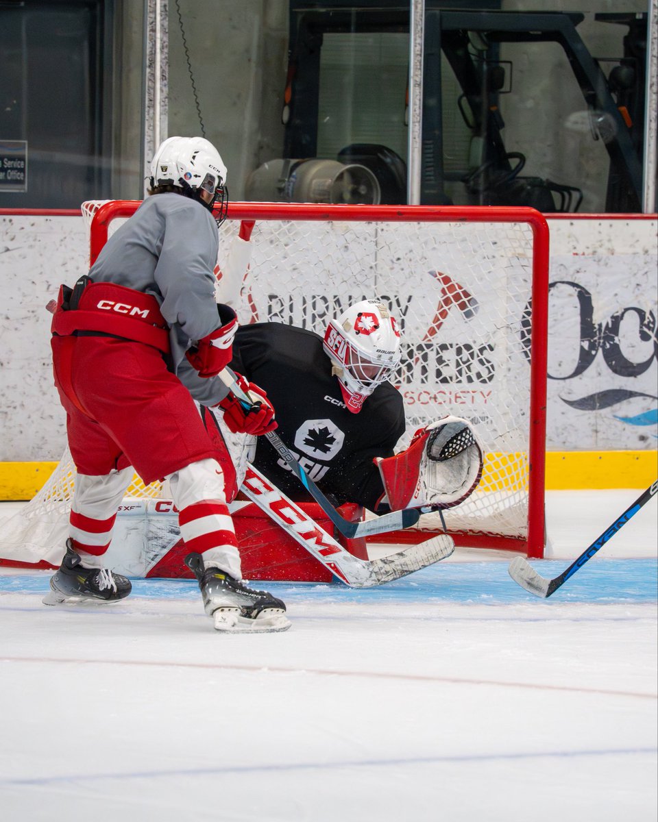 SFU Red Leafs Hockey tweet media