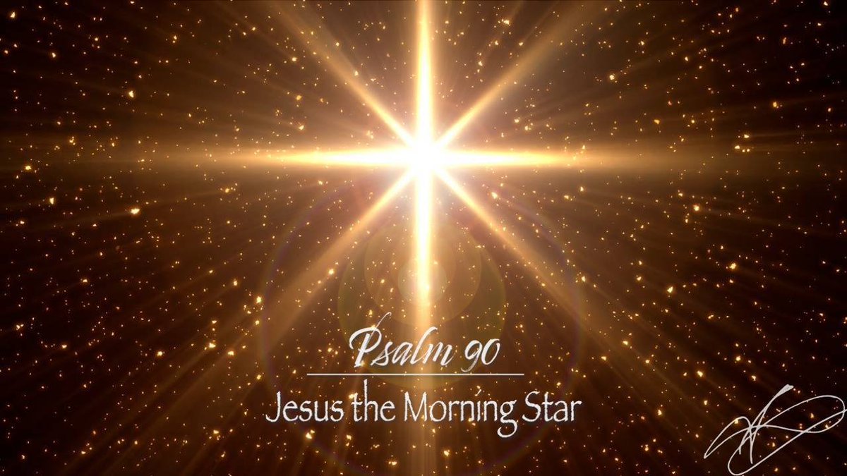 Axel Vasa tweet media