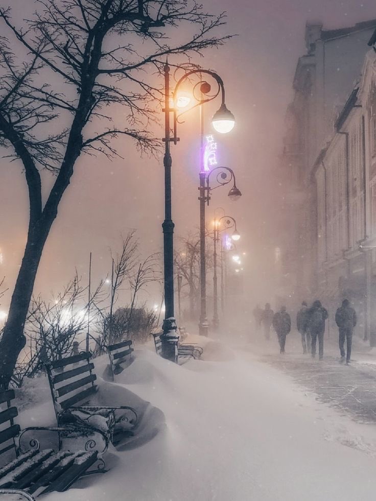 DigitalDaizy's tweet image. Cozy
#pintrest #winter